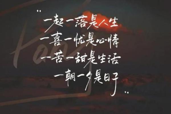 命乡的深意：探寻生命的归属与人生的意义