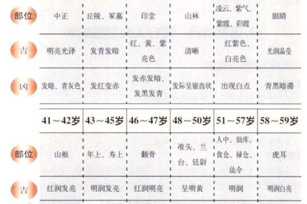 根据命局看大运的人性格特征解析，揭示命运背后的奥秘