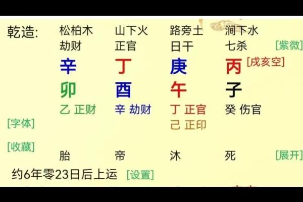 命局中木为财的深刻解读与生活启示