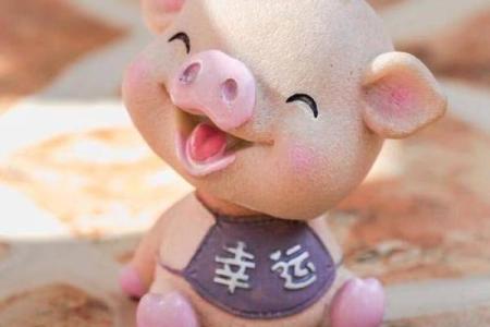 腊月二十四出生的属猪命,生活的哲学与命运的解读