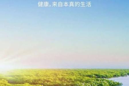 木命女性适合去的地方:寻找属于生命的自然港湾