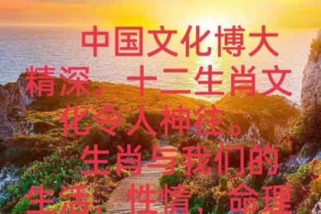 探索命格变形金：理解你的命理密码与财富之路