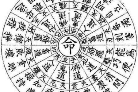 探寻木命与何种命相合的婚姻之道