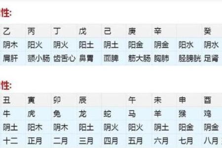 名字中的数字密码:从23画看男孩的命理解析