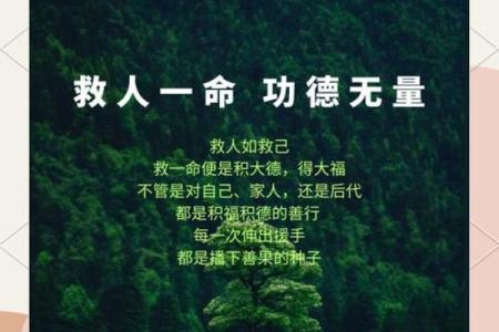 救人一命,福报无限:善行的力量与感悟