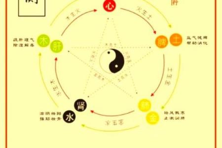 炉中火命缺金缺水,如何提升运势与平衡人生?
