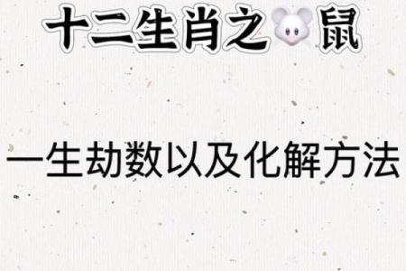 明年属鼠的朋友,请记得这些命理秘密,让你运势大开!