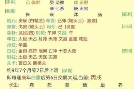 伤官命主的命理解析与生活智慧