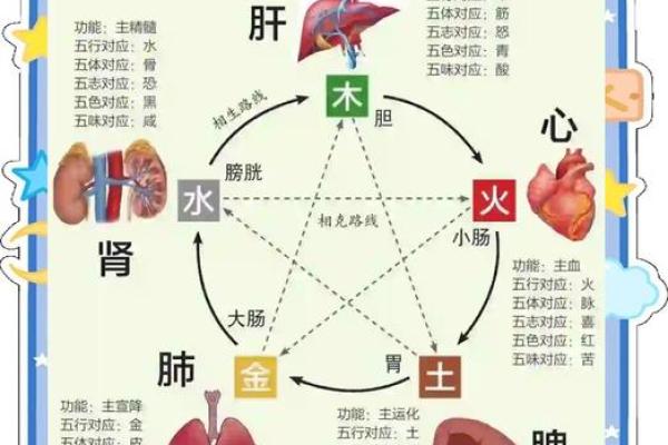 从五行角度解析：木命与土命父母理想中的孩子五行特征