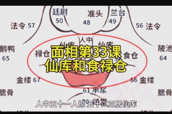 女额头秃的命运解析：揭秘面相与人生的奥秘