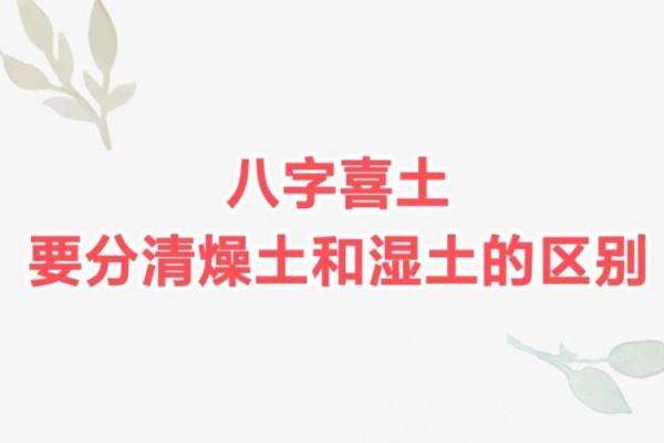 命局忌神为湿土的深意与应对之策
