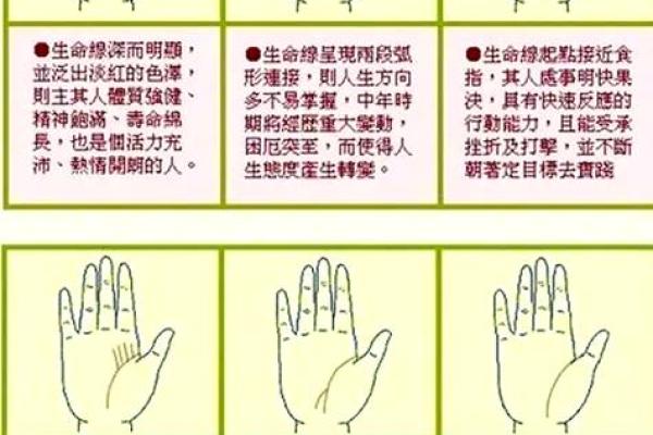 2006年出生的人属什么命：揭示个性与命运的奥秘