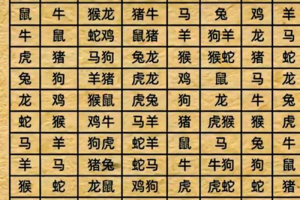 揭秘命理：女人的命运与生肖的微妙关系