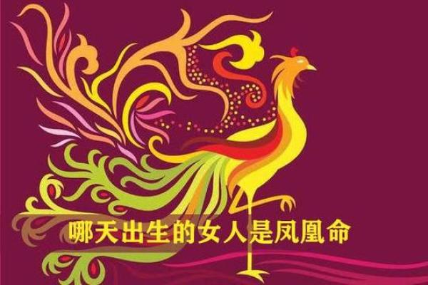 命里带什么是凤凰命：一种独特的命运解读与人生启示
