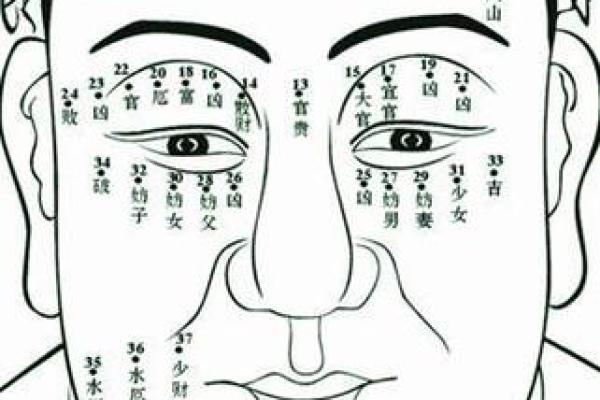 不同面容的女性与命运之间的微妙关系探讨