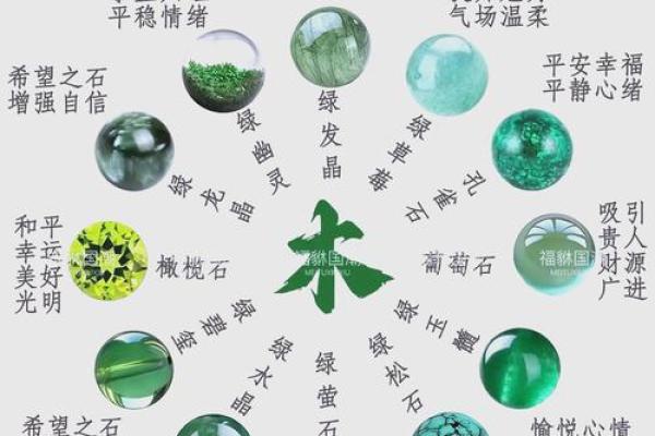 属木命主的五行特性与生活启示：从自然中寻求灵感与和谐