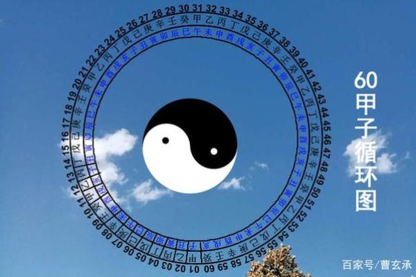 丙子命的秘密：揭秘人生中的机遇与挑战