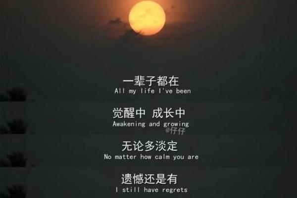 在旧城旧梦中，谁的命运又该如何书写？