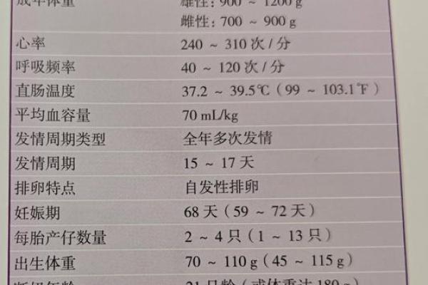农历六月出生猪的命运与性格解析：解锁你的生肖密码！