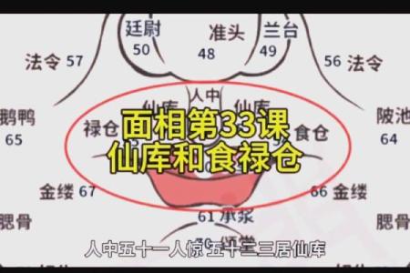 女额头秃的命运解析:揭秘面相与人生的奥秘