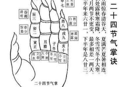命局富足的深层含义与生活智慧