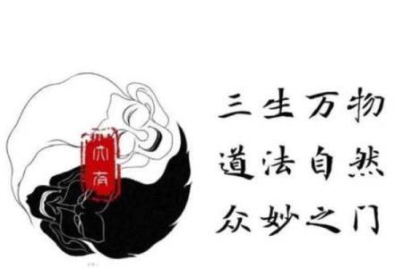 命带官杀的深层解析与人生启示