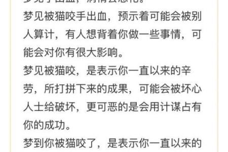 梦见老公命不长:揭开潜意识中的忧虑与期盼