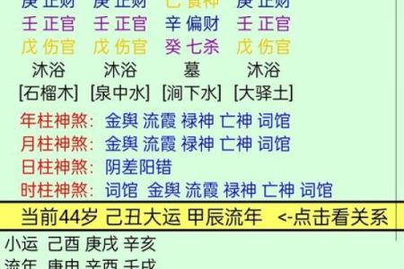 无根之命女：命理解读与人生启示，探寻心灵归宿
