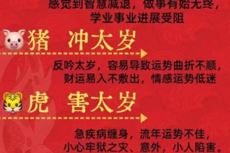 明年正月出生的宝宝属什么命?揭秘命运与性格的奥秘