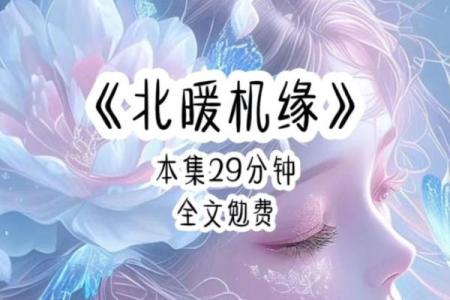 探秘命局中的红鸾星：爱情与婚姻的指引之光