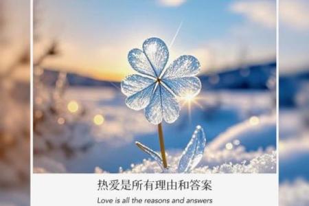 命里缺木的人生轨迹：如何找到内心的平衡与成长之路
