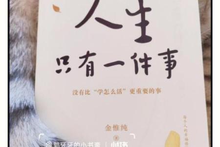 老婆说我命真好,背后隐藏的深意与人生哲学