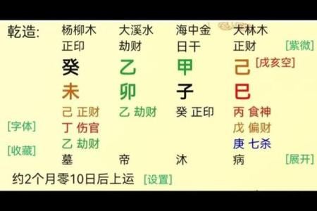 木命与海中金:探寻命理中的缺失与补充之道