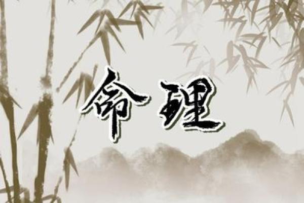 命理解析：凶星守护下的生活与应对策略