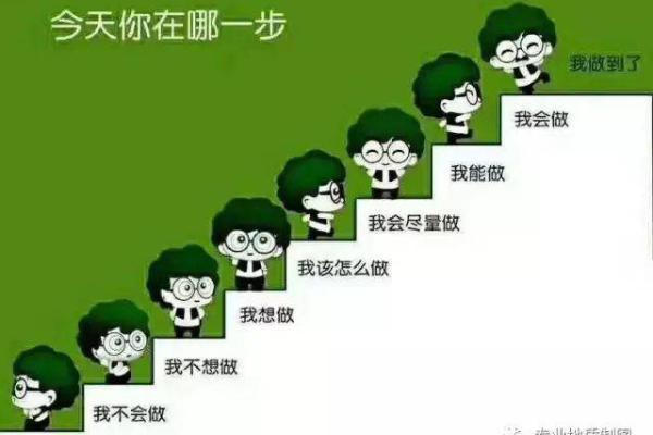 女命三两八：揭示人生运势的秘密，助你把握未来