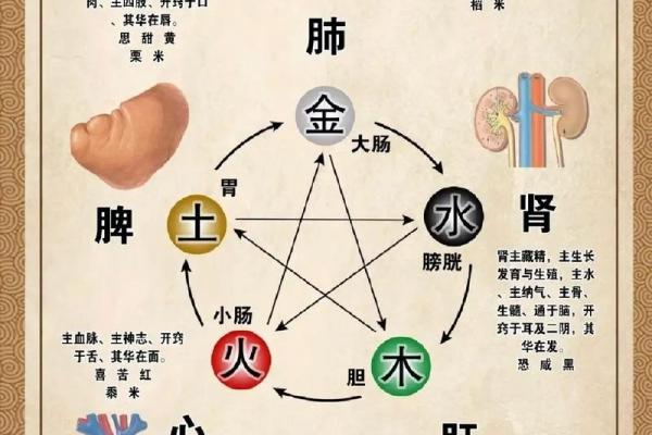 命理缺金火多，生活幸福与事业成就的暗示与分析