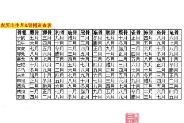 农历一月份出生的兔子命格解析：命运与性格的深层探讨