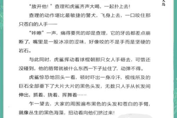 探索九命格与八命格的奥秘，揭秘命理学中的奇妙之旅