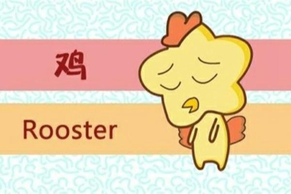 探索1969年属鸡之人的命运与性格特征
