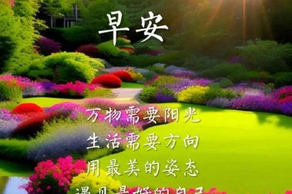 探索木命人的最佳搭配与生活指南，让你人生更加喜乐满满