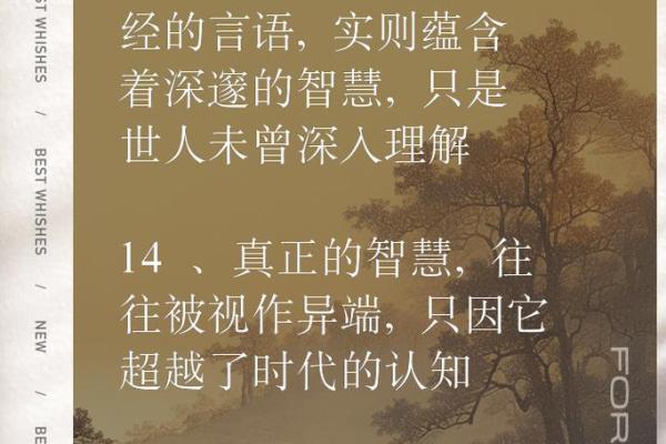 命里非贵，人生更在于自我超越与追寻