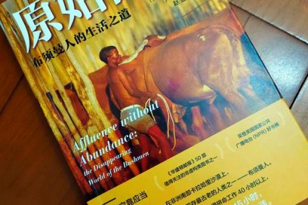 命里食禄好，解读生活富足之道