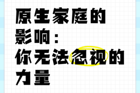 探索家庭命运的奥秘:如何影响我们的生活与未来