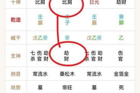 深入探讨命盘中的“枭”：象征与意义解析