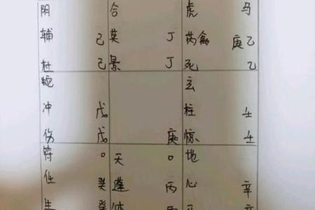 坤命主宅位解析:让幸福在家中绽放的秘诀
