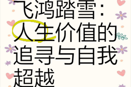 命里非贵,人生更在于自我超越与追寻
