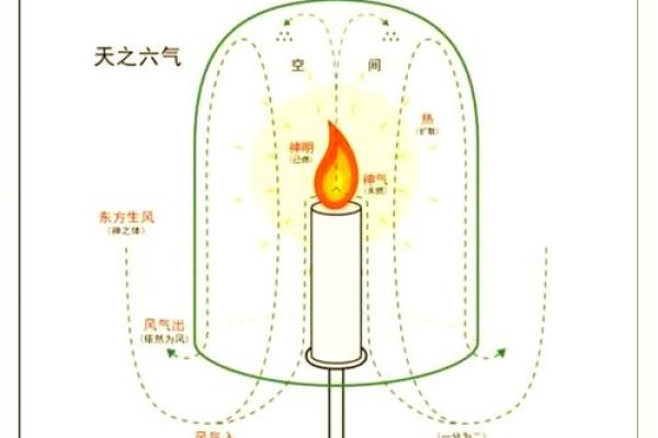探寻“命心连”中的奥秘与哲理，人生的真谛与智慧之旅