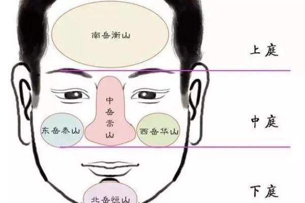 女人十个螺纹的命运解析：揭秘背后的深刻意义与影响