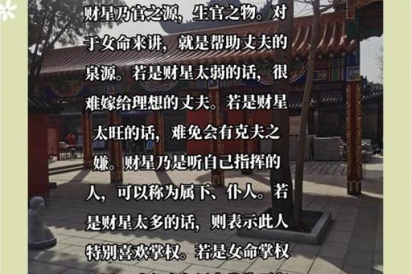 探究命理：排命的奥秘与生活智慧