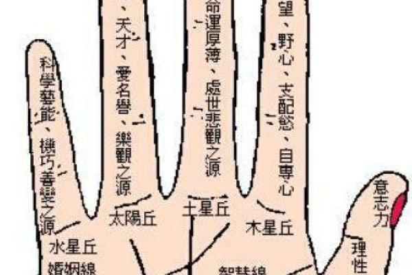 女命不会持家的内涵与对策探析